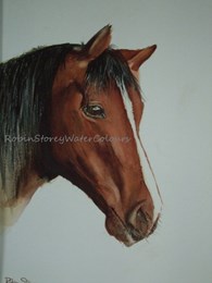 Rosie, original watercolour painting by Robin Storey