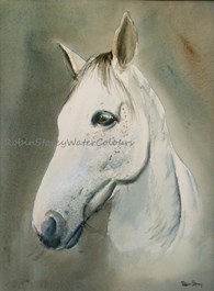 Monty, original watercolour painting by Robin Storey