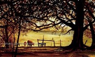 Burton Bushes, original watercolour painting by Robin Storey
