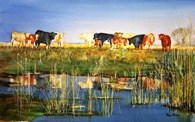 Watering Cows, original watercolour painting by Robin Storey