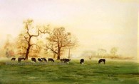 Burton Bushes In the Mist, original watercolour painting by Robin Storey