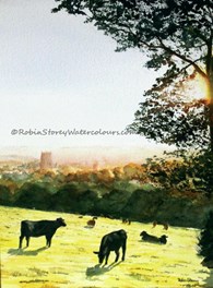 Burton Bushes in the sun, original watercolour painting by Robin Storey