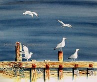 Gulls, original watercolour painting by Robin Storey