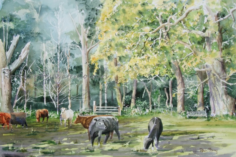 Burton Bushes Cows