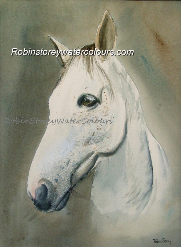 Monty ,original watercolour by Robin Storey Monty ,original watercolour by Robin Storey