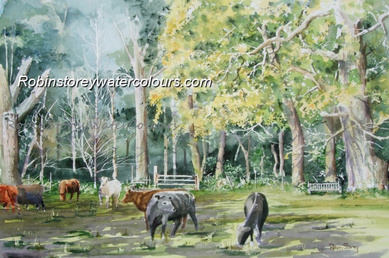 Burton Bushes Cows ,original watercolour by Robin Storey Burton Bushes Cows ,original watercolour by Robin Storey