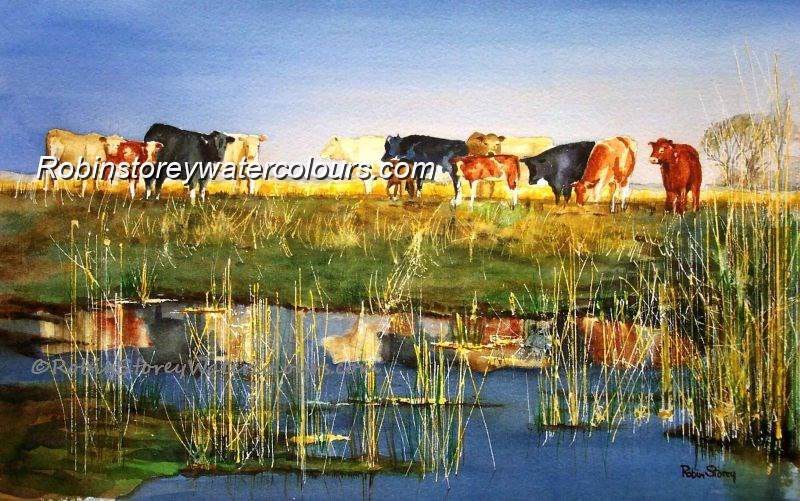 Watering Cows ,original watercolour by Robin Storey Watering Cows ,original watercolour by Robin Storey