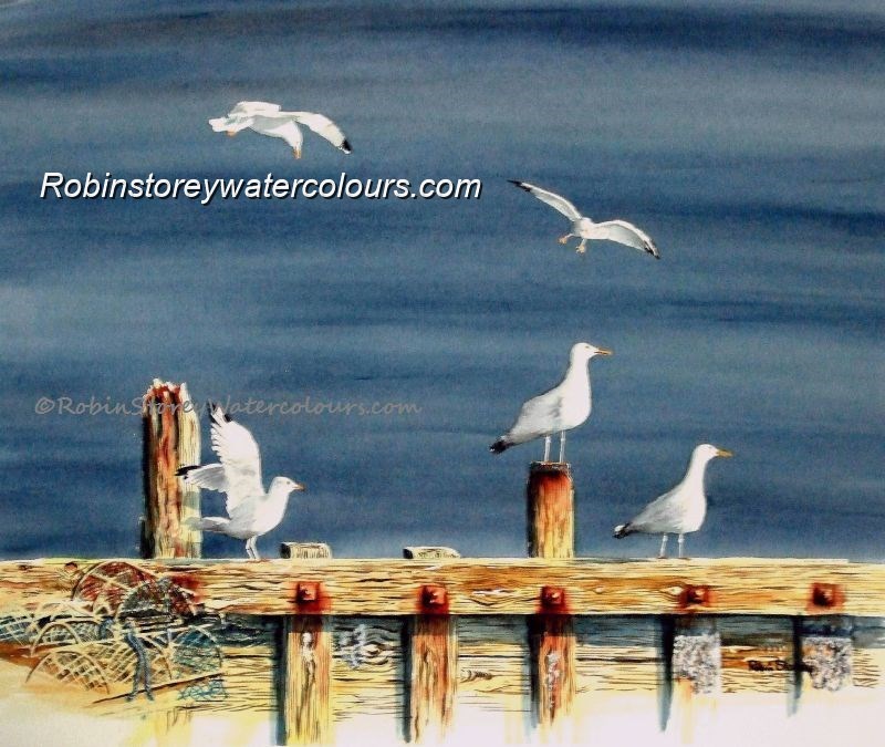 Gulls ,original watercolour by Robin Storey Gulls ,original watercolour by Robin Storey